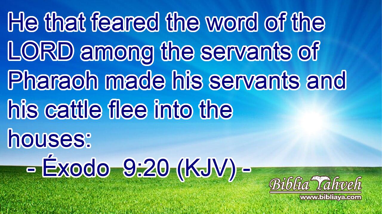 He that feared the word of the LORD among the servants of Pharaoh made his servants and his cattle flee into the houses: