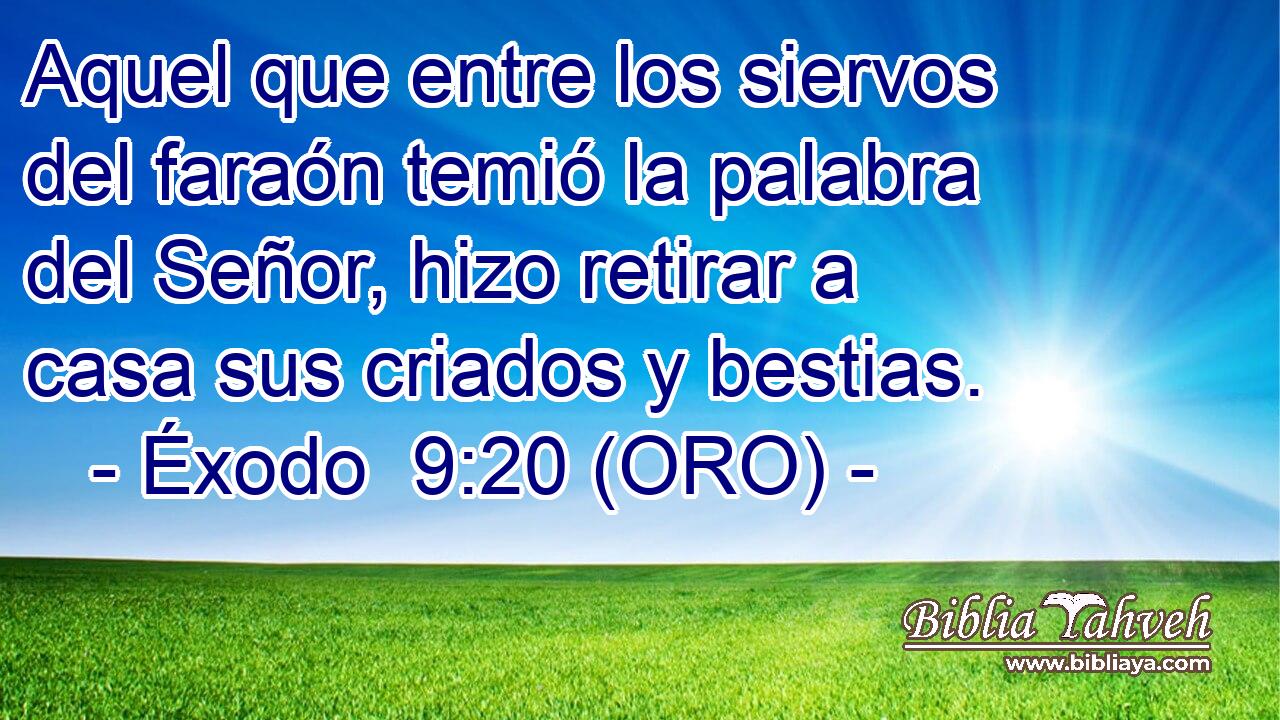  Aquel que entre los siervos del faraón temió la palabra del Señor, hizo retirar a casa sus criados y bestias. 