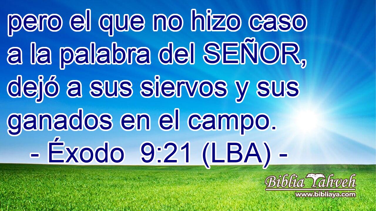 pero el que no hizo caso a la palabra del SEÑOR, dejó a sus siervos y sus ganados en el campo.