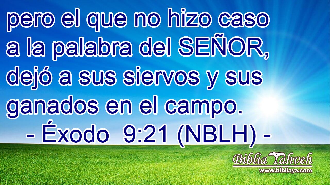  pero el que no hizo caso a la palabra del SEÑOR, dejó a sus siervos y sus ganados en el campo. 