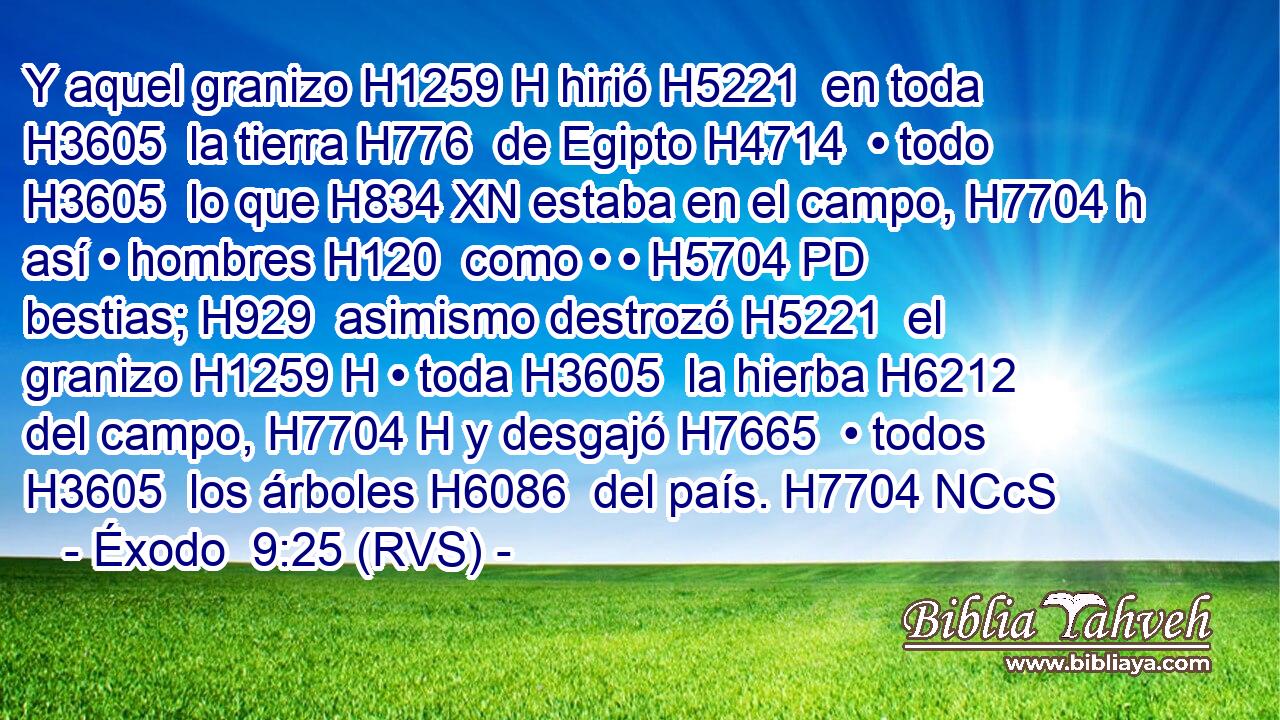 Y aquel granizo H1259 H hirió H5221  en toda H3605  la tierra H776  de Egipto H4714  • todo H3605  lo que H834 XN estaba en el campo, H7704 h así • hombres H120  como • • H5704 PD bestias; H929  asimismo destrozó H5221  el granizo H1259 H • toda H3605  la hierba H6212  del campo, H7704 H y desgajó H7665  • todos H3605  los árboles H6086  del país. H7704 NCcS