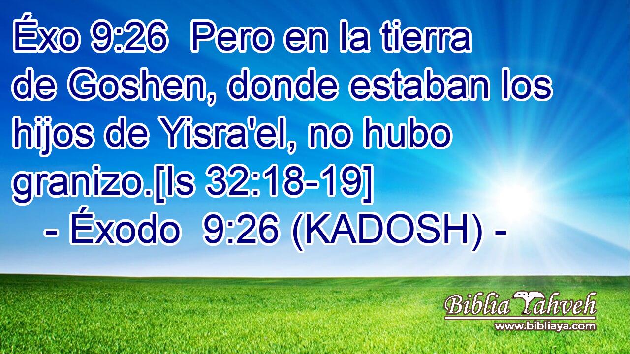  Pero en la tierra de Goshen, donde estaban los hijos de Yisra'el, no hubo granizo.[Is 32:18-19] 