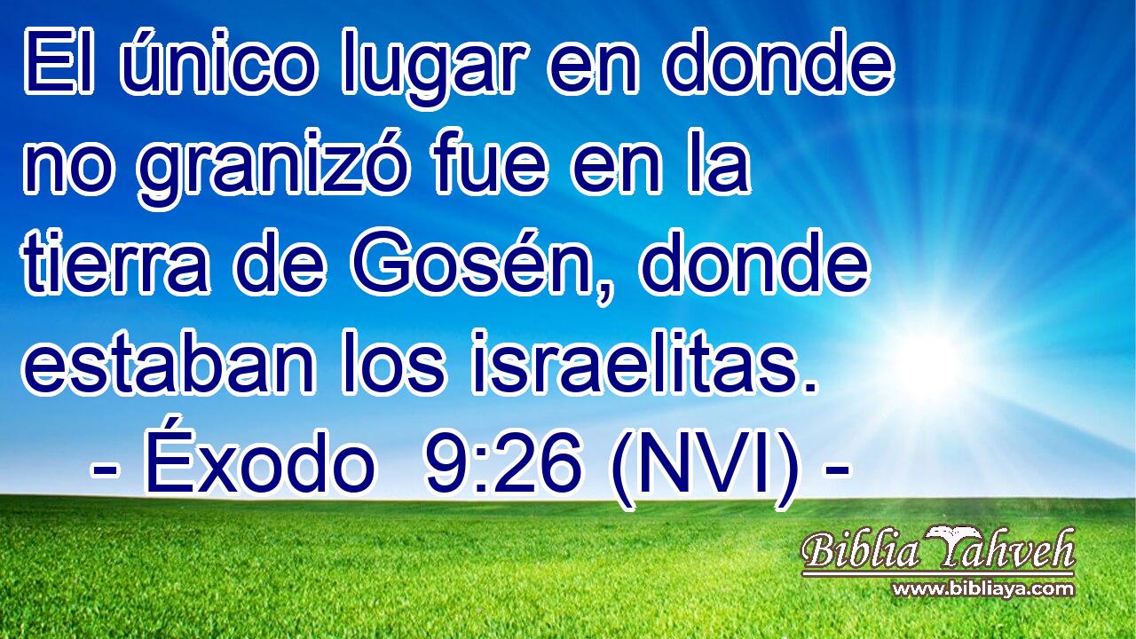  El único lugar en donde no granizó fue en la tierra de Gosén, donde estaban los israelitas. 