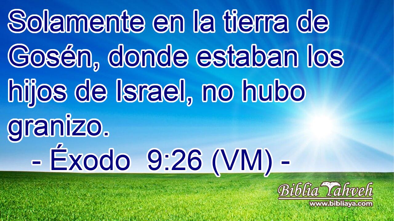  Solamente en la tierra de Gosén, donde estaban los hijos de Israel, no hubo granizo. 