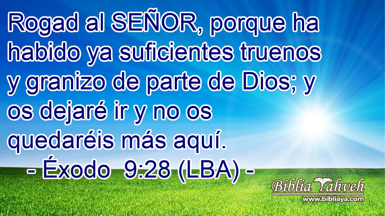 Rogad al SEÑOR, porque ha habido ya suficientes truenos y granizo de parte de Dios; y os dejaré ir y no os quedaréis más aquí.