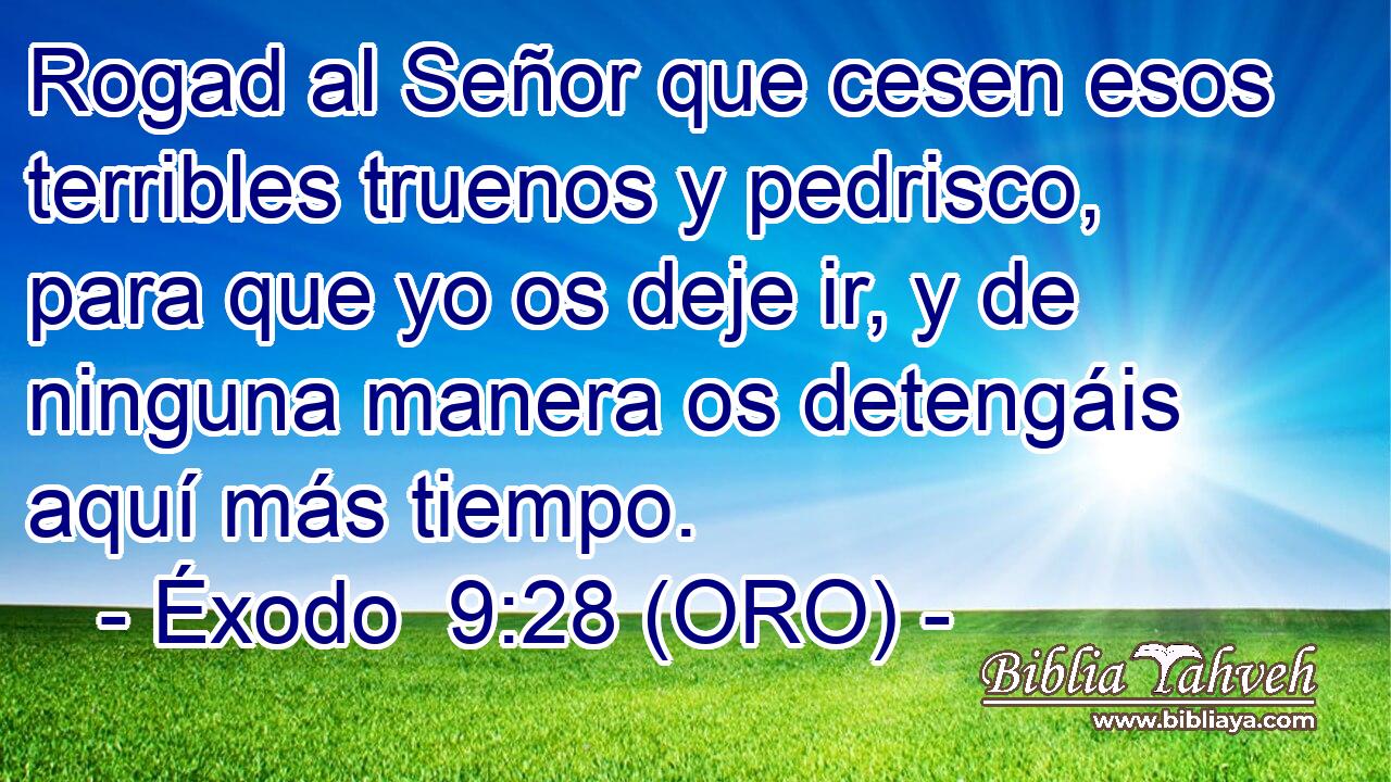  Rogad al Señor que cesen esos terribles truenos y pedrisco, para que yo os deje ir, y de ninguna manera os detengáis aquí más tiempo. 