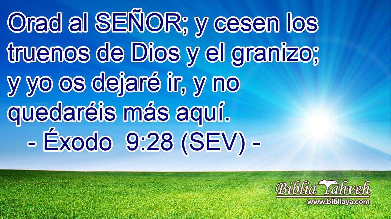 Orad al SEÑOR; y cesen los truenos de Dios y el granizo; y yo os dejaré ir, y no quedaréis más aquí.