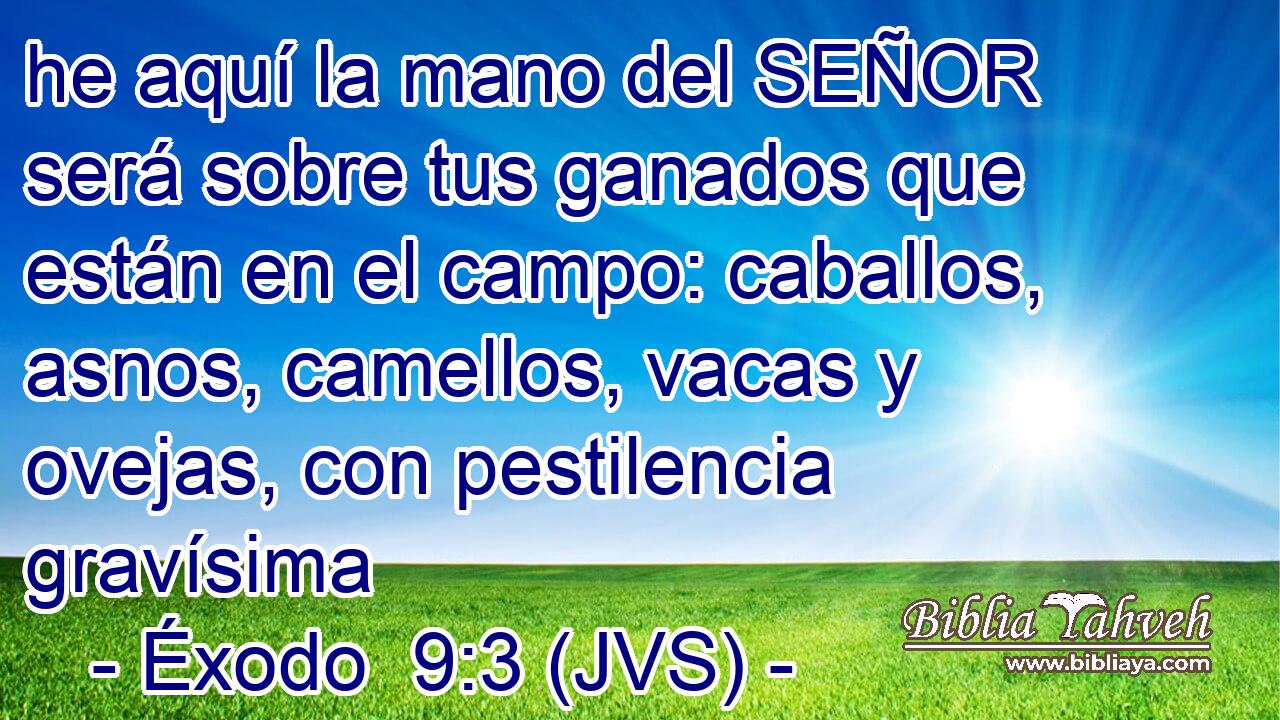 he aquí la mano del SEÑOR será sobre tus ganados que están en el campo: caballos, asnos, camellos, vacas y ovejas, con pestilencia gravísima