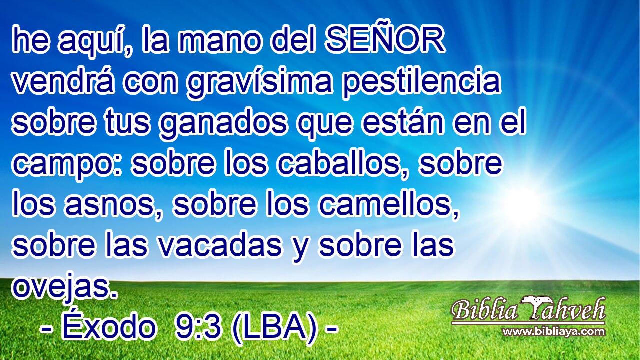 he aquí, la mano del SEÑOR vendrá con gravísima pestilencia sobre tus ganados que están en el campo: sobre los caballos, sobre los asnos, sobre los camellos, sobre las vacadas y sobre las ovejas.