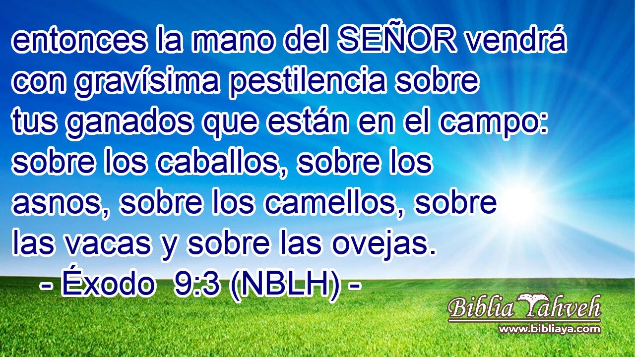 entonces la mano del SEÑOR vendrá con gravísima pestilencia sobre tus ganados que están en el campo: sobre los caballos, sobre los asnos, sobre los camellos, sobre las vacas y sobre las ovejas. 