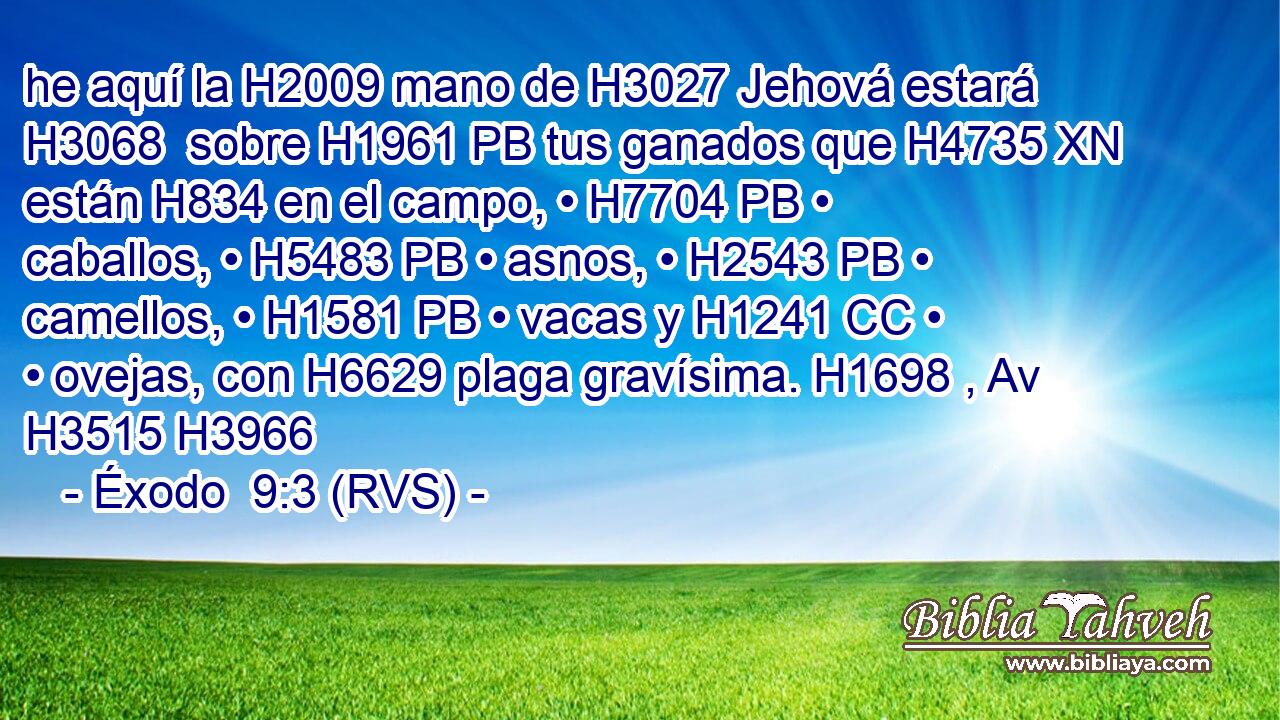 he aquí la H2009 mano de H3027 Jehová estará H3068  sobre H1961 PB tus ganados que H4735 XN están H834 en el campo, • H7704 PB • caballos, • H5483 PB • asnos, • H2543 PB • camellos, • H1581 PB • vacas y H1241 CC • • ovejas, con H6629 plaga gravísima. H1698 , Av H3515 H3966 