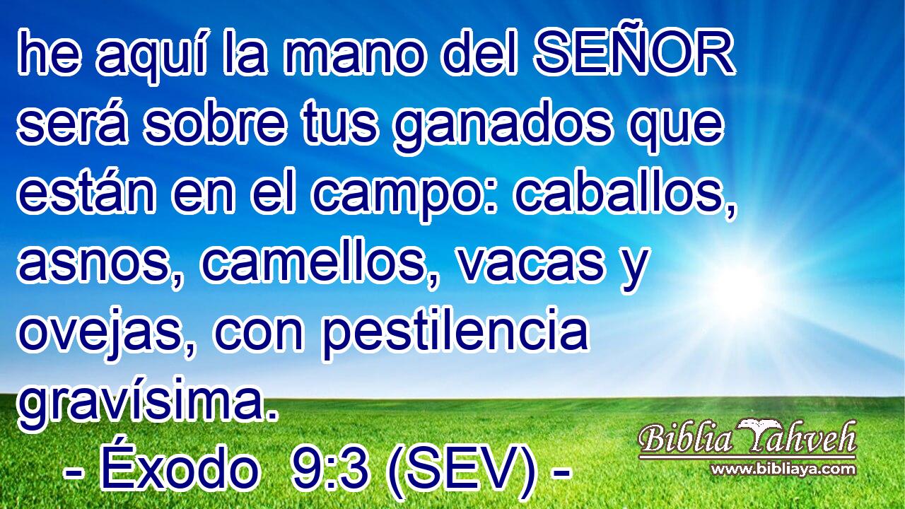 he aquí la mano del SEÑOR será sobre tus ganados que están en el campo: caballos, asnos, camellos, vacas y ovejas, con pestilencia gravísima.