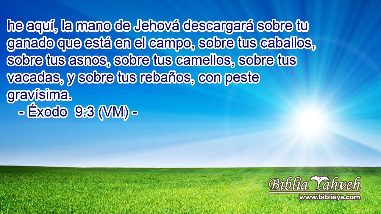  he aquí, la mano de Jehová descargará sobre tu ganado que está en el campo, sobre tus caballos, sobre tus asnos, sobre tus camellos, sobre tus vacadas, y sobre tus rebaños, con peste gravísima. 