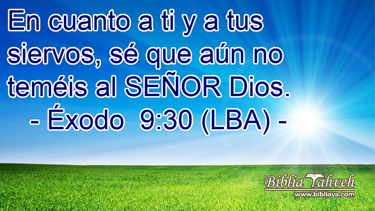 En cuanto a ti y a tus siervos, sé que aún no teméis al SEÑOR Dios.
