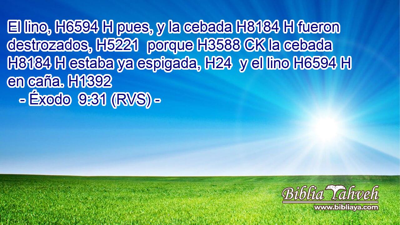 El lino, H6594 H pues, y la cebada H8184 H fueron destrozados, H5221  porque H3588 CK la cebada H8184 H estaba ya espigada, H24  y el lino H6594 H en caña. H1392  
