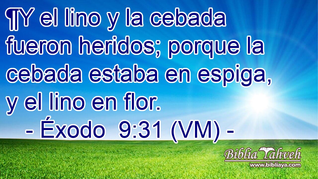  ¶Y el lino y la cebada fueron heridos; porque la cebada estaba en espiga, y el lino en flor. 