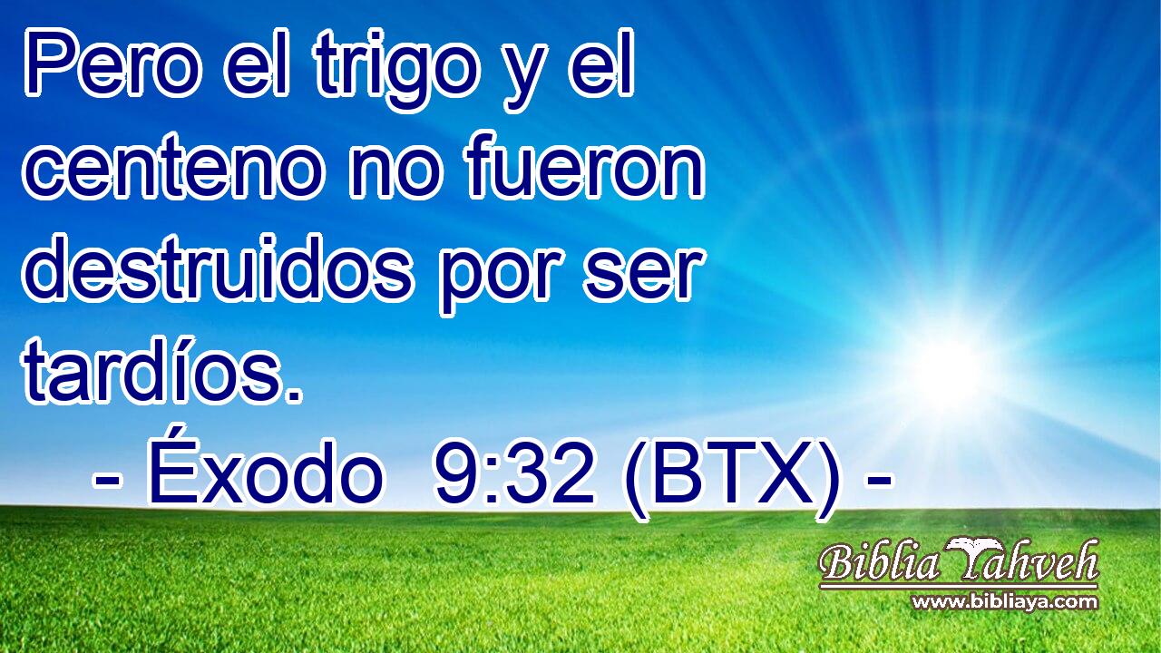 Pero el trigo y el centeno no fueron destruidos por ser tardíos.