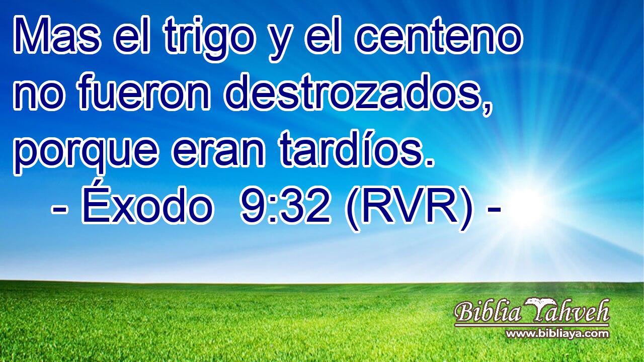 Mas el trigo y el centeno no fueron destrozados, porque eran tardíos.