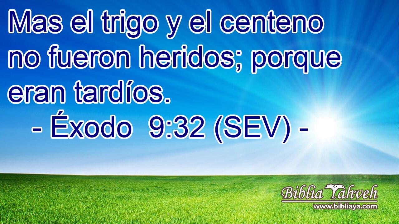 Mas el trigo y el centeno no fueron heridos; porque eran tardíos.