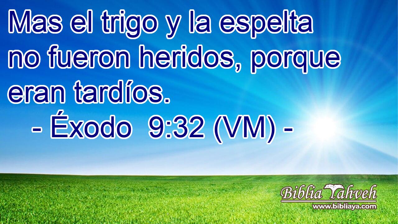  Mas el trigo y la espelta no fueron heridos, porque eran tardíos. 