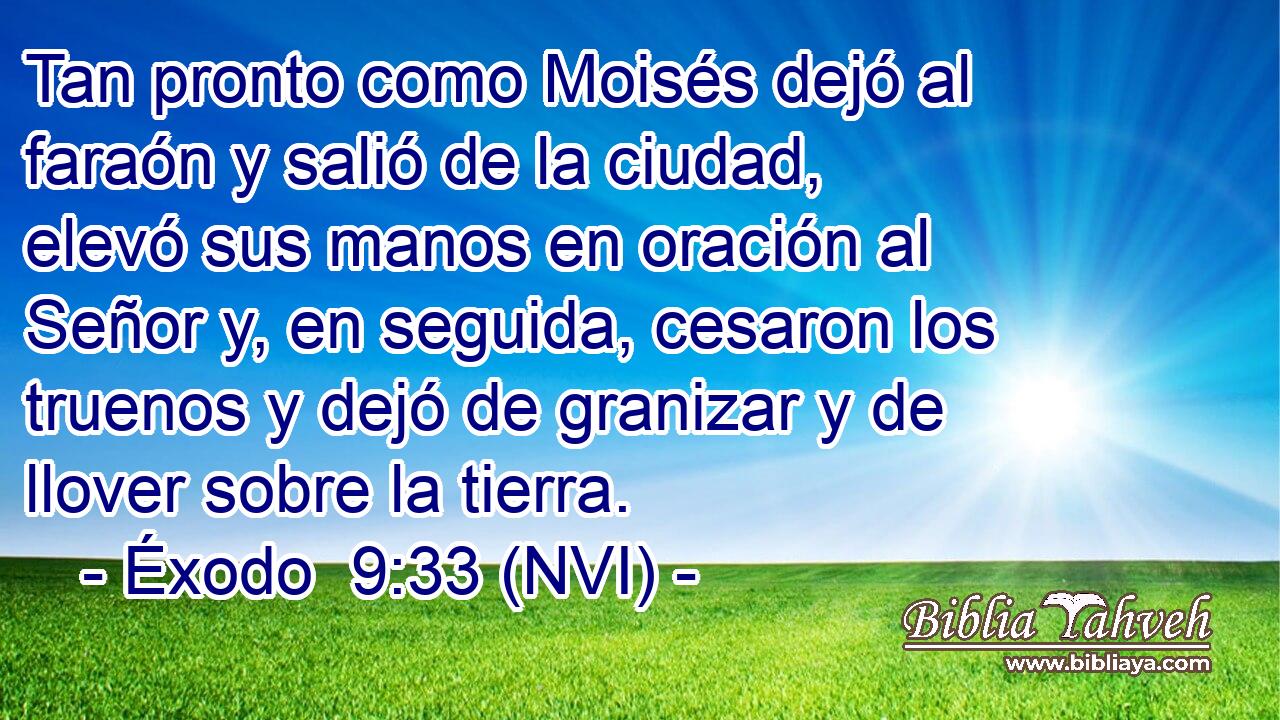  Tan pronto como Moisés dejó al faraón y salió de la ciudad, elevó sus manos en oración al Señor y, en seguida, cesaron los truenos y dejó de granizar y de llover sobre la tierra. 