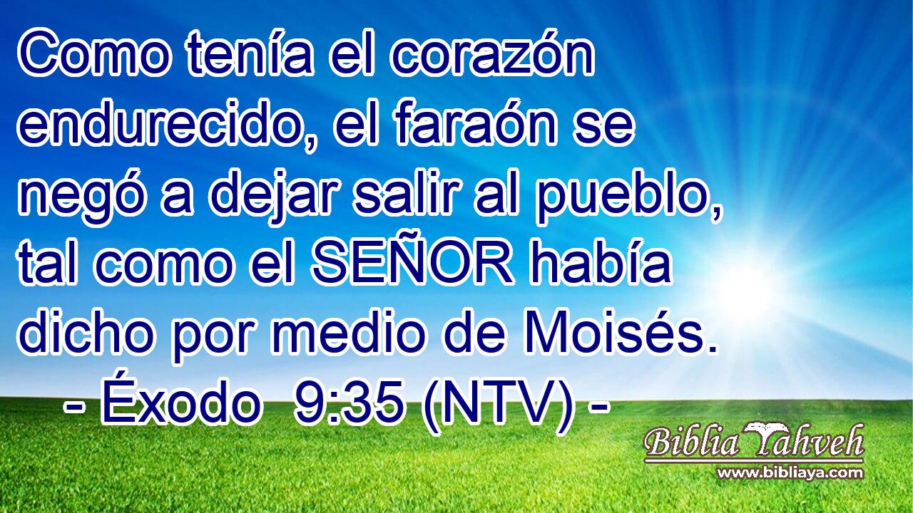 Como tenía el corazón endurecido, el faraón se negó a dejar salir al pueblo, tal como el SEÑOR había dicho por medio de Moisés.