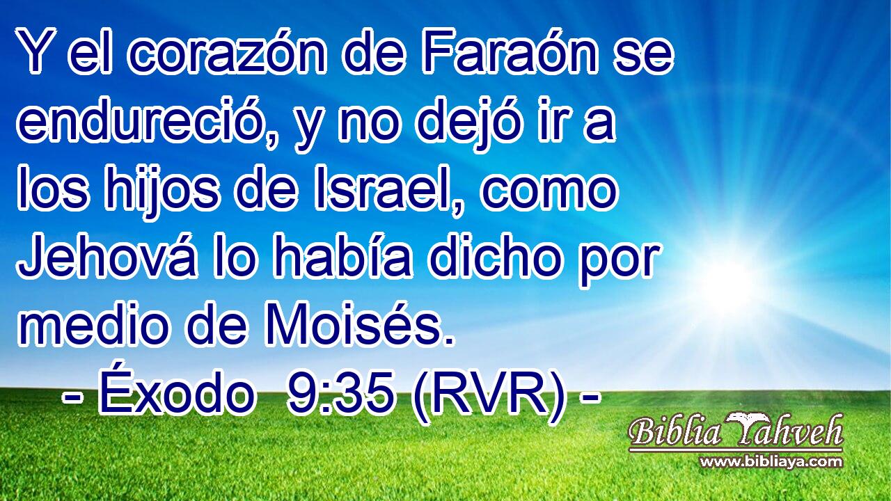 Y el corazón de Faraón se endureció, y no dejó ir a los hijos de Israel, como Jehová lo había dicho por medio de Moisés.