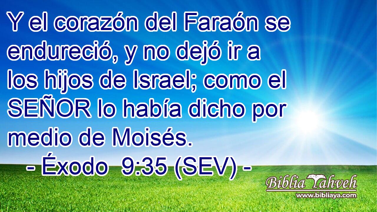 Y el corazón del Faraón se endureció, y no dejó ir a los hijos de Israel; como el SEÑOR lo había dicho por medio de Moisés.