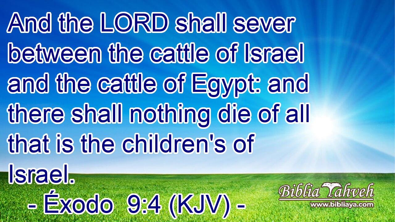 And the LORD shall sever between the cattle of Israel and the cattle of Egypt: and there shall nothing die of all that is the children's of Israel.