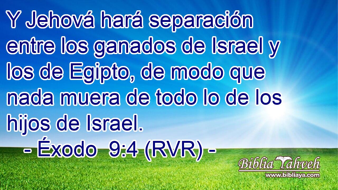 Y Jehová hará separación entre los ganados de Israel y los de Egipto, de modo que nada muera de todo lo de los hijos de Israel.