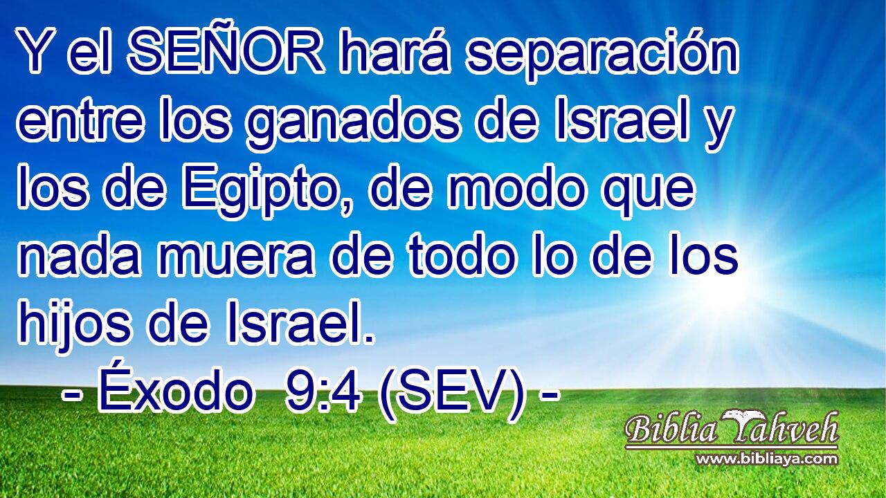Y el SEÑOR hará separación entre los ganados de Israel y los de Egipto, de modo que nada muera de todo lo de los hijos de Israel.