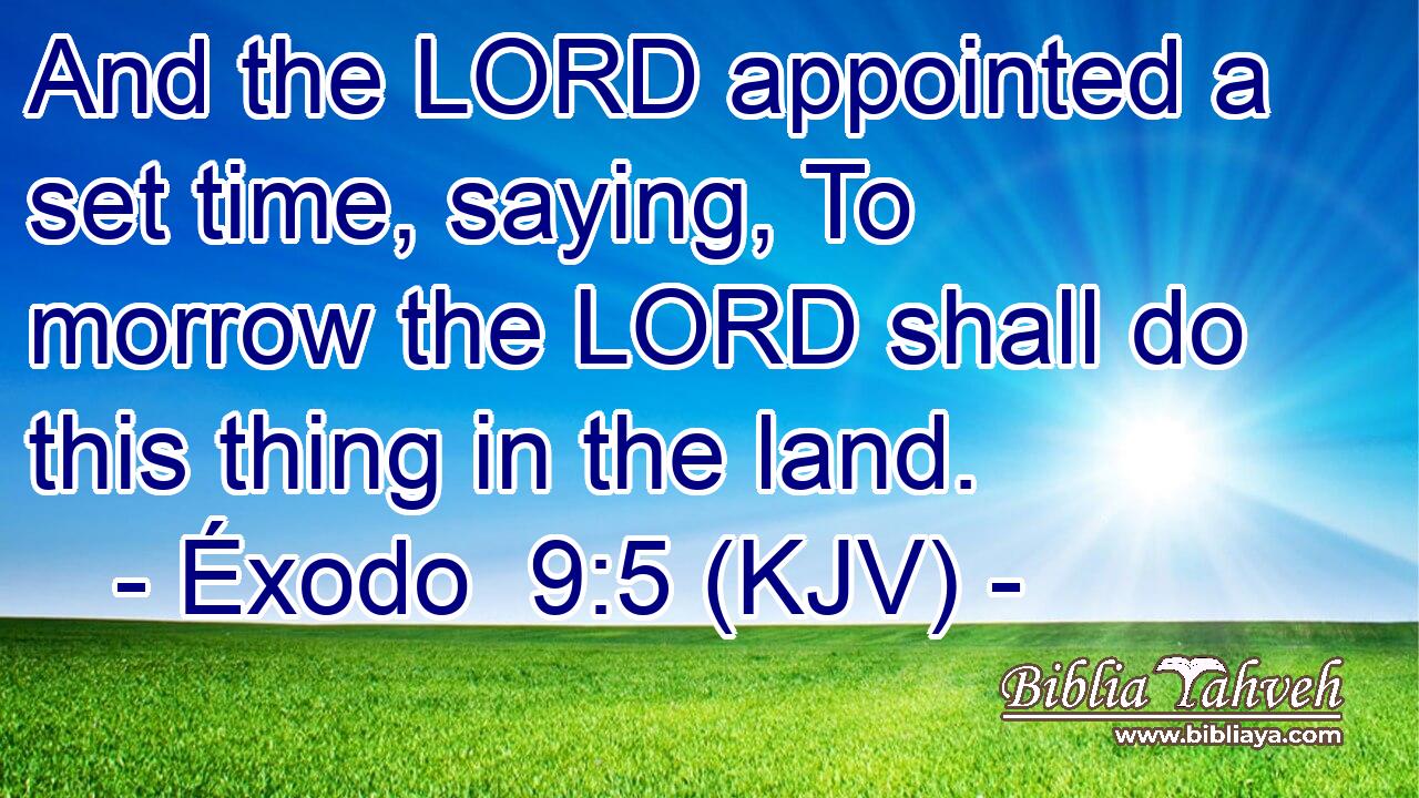 And the LORD appointed a set time, saying, To morrow the LORD shall do this thing in the land.
