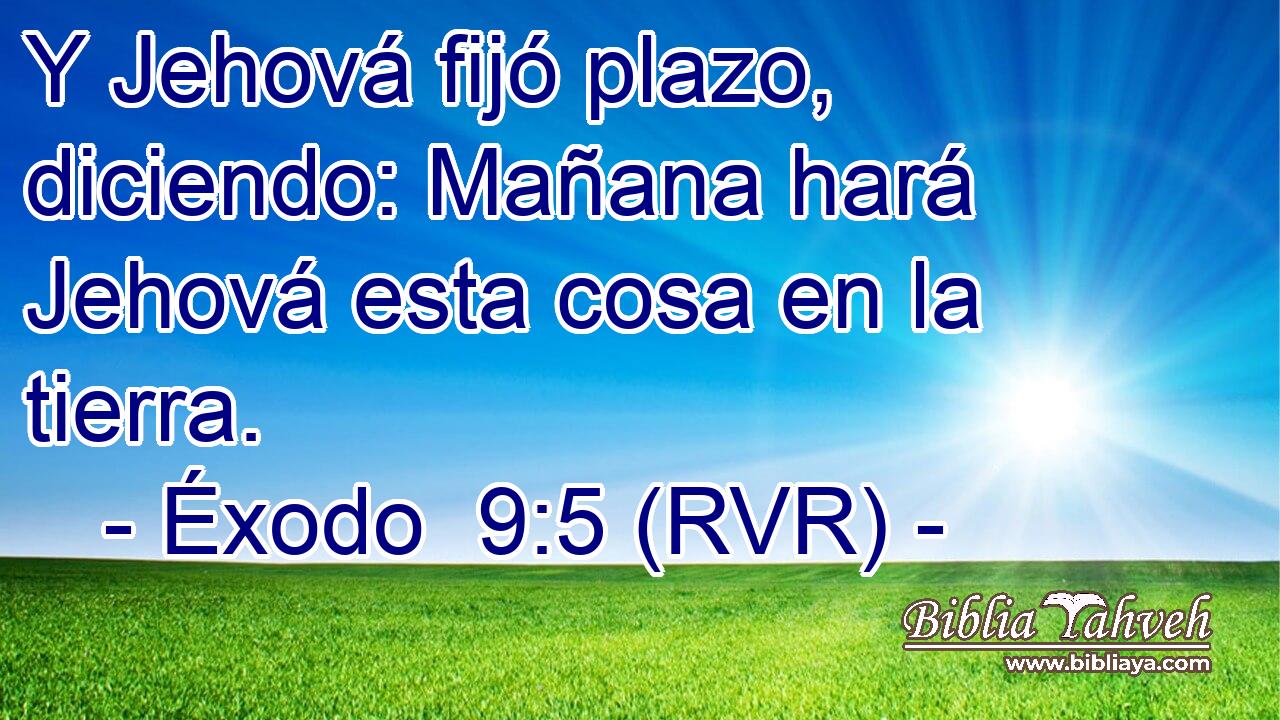Y Jehová fijó plazo, diciendo: Mañana hará Jehová esta cosa en la tierra.