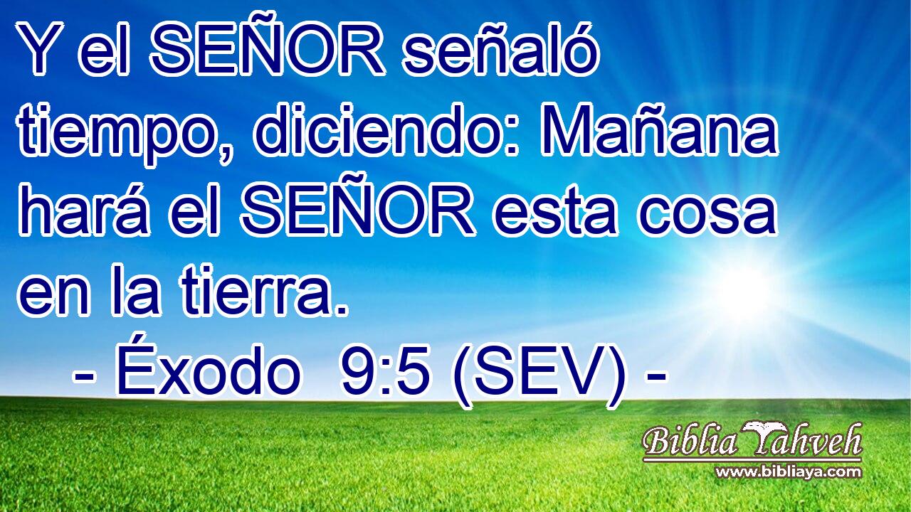 Y el SEÑOR señaló tiempo, diciendo: Mañana hará el SEÑOR esta cosa en la tierra.