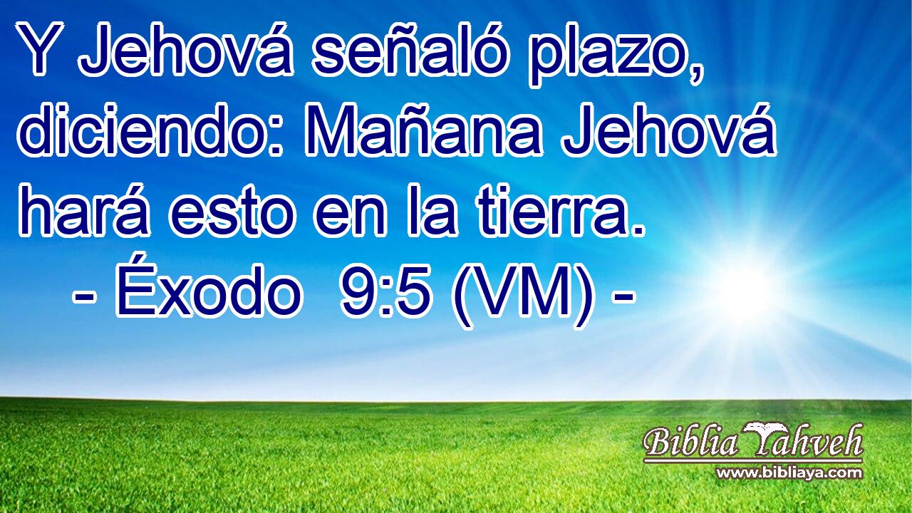  Y Jehová señaló plazo, diciendo: Mañana Jehová hará esto en la tierra. 