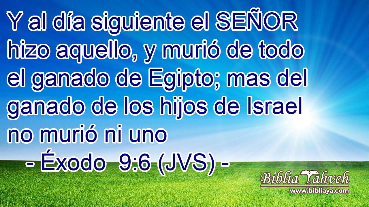 Y al día siguiente el SEÑOR hizo aquello, y murió de todo el ganado de Egipto; mas del ganado de los hijos de Israel no murió ni uno