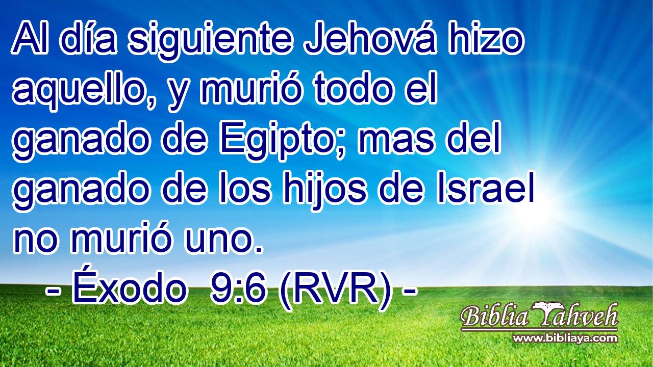 Al día siguiente Jehová hizo aquello, y murió todo el ganado de Egipto; mas del ganado de los hijos de Israel no murió uno.