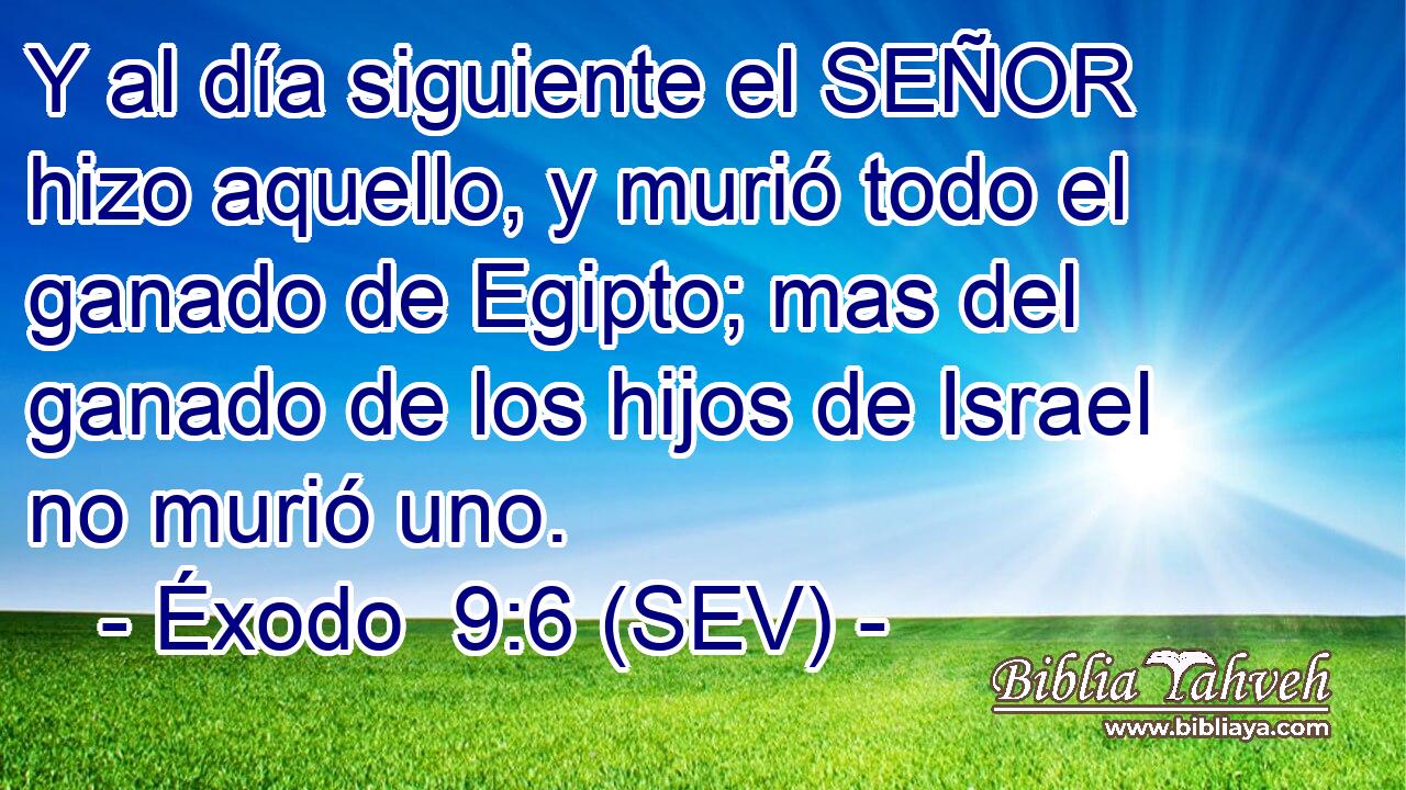 Y al día siguiente el SEÑOR hizo aquello, y murió todo el ganado de Egipto; mas del ganado de los hijos de Israel no murió uno.