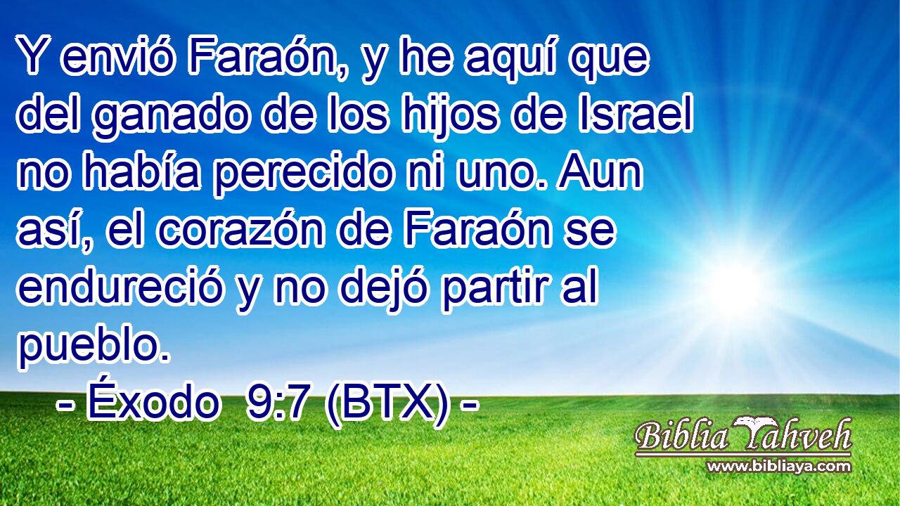 Y envió Faraón, y he aquí que del ganado de los hijos de Israel no había perecido ni uno. Aun así, el corazón de Faraón se endureció y no dejó partir al pueblo.