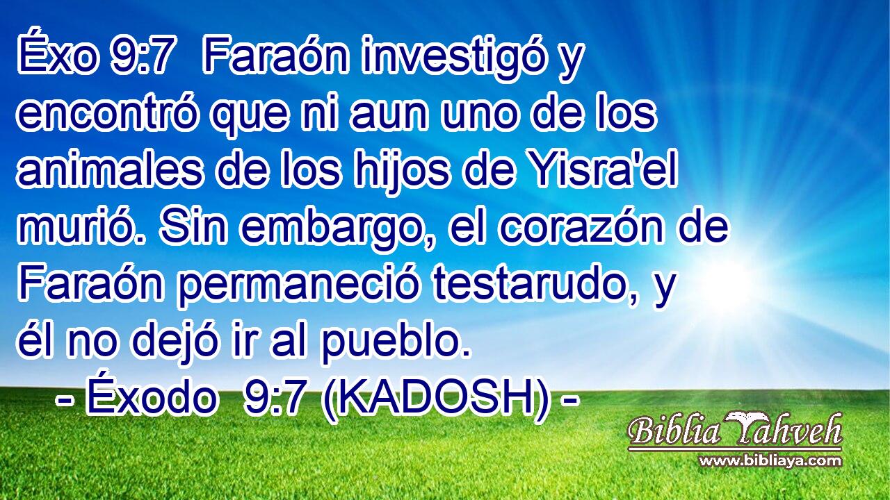  Faraón investigó y encontró que ni aun uno de los animales de los hijos de Yisra'el murió. Sin embargo, el corazón de Faraón permaneció testarudo, y él no dejó ir al pueblo. 