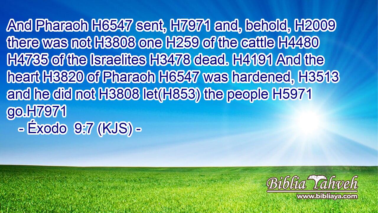 And Pharaoh H6547 sent, H7971 and, behold, H2009 there was not H3808 one H259 of the cattle H4480  H4735 of the Israelites H3478 dead. H4191 And the heart H3820 of Pharaoh H6547 was hardened, H3513 and he did not H3808 let(H853) the people H5971 go.H7971
