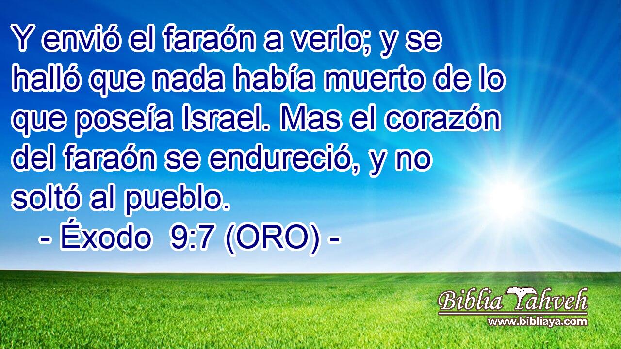  Y envió el faraón a verlo; y se halló que nada había muerto de lo que poseía Israel. Mas el corazón del faraón se endureció, y no soltó al pueblo. 