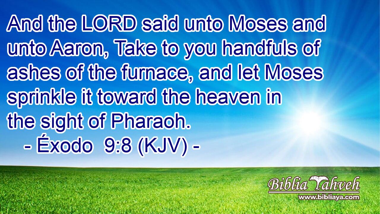 And the LORD said unto Moses and unto Aaron, Take to you handfuls of ashes of the furnace, and let Moses sprinkle it toward the heaven in the sight of Pharaoh.