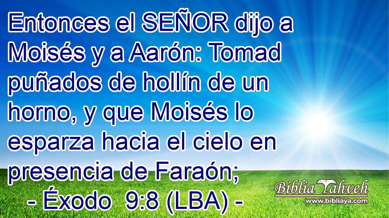 Entonces el SEÑOR dijo a Moisés y a Aarón: Tomad puñados de hollín de un horno, y que Moisés lo esparza hacia el cielo en presencia de Faraón;