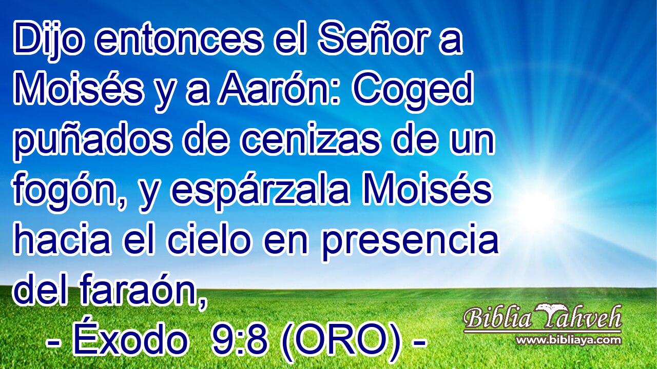  Dijo entonces el Señor a Moisés y a Aarón: Coged puñados de cenizas de un fogón, y espárzala Moisés hacia el cielo en presencia del faraón, 