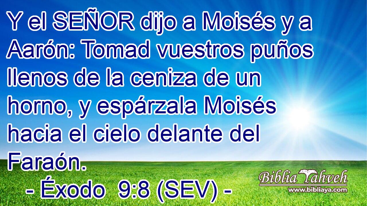 Y el SEÑOR dijo a Moisés y a Aarón: Tomad vuestros puños llenos de la ceniza de un horno, y espárzala Moisés hacia el cielo delante del Faraón.