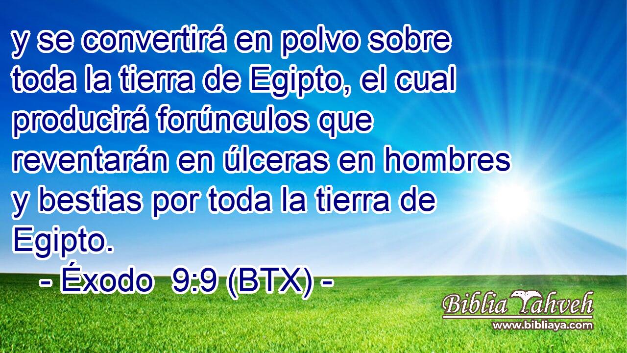 y se convertirá en polvo sobre toda la tierra de Egipto, el cual producirá forúnculos que reventarán en úlceras en hombres y bestias por toda la tierra de Egipto.