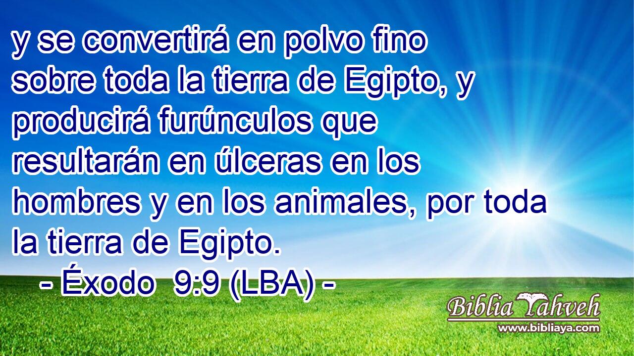 y se convertirá en polvo fino sobre toda la tierra de Egipto, y producirá furúnculos que resultarán en úlceras en los hombres y en los animales, por toda la tierra de Egipto.