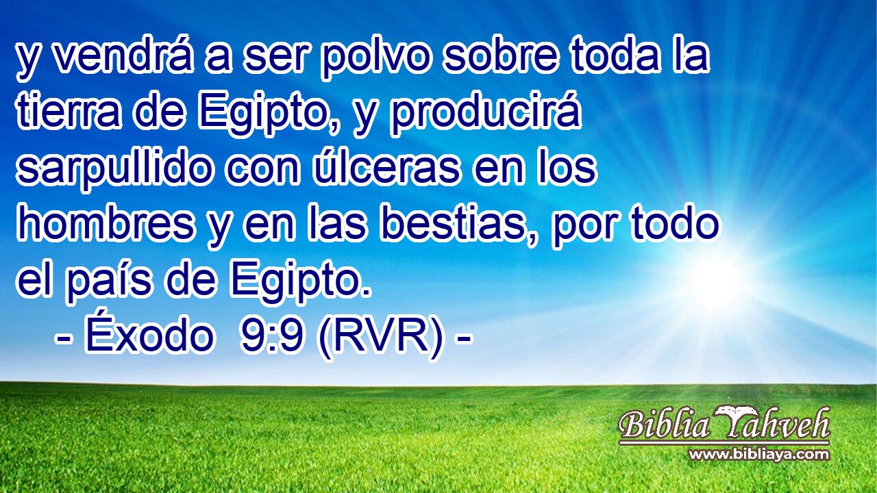 y vendrá a ser polvo sobre toda la tierra de Egipto, y producirá sarpullido con úlceras en los hombres y en las bestias, por todo el país de Egipto.