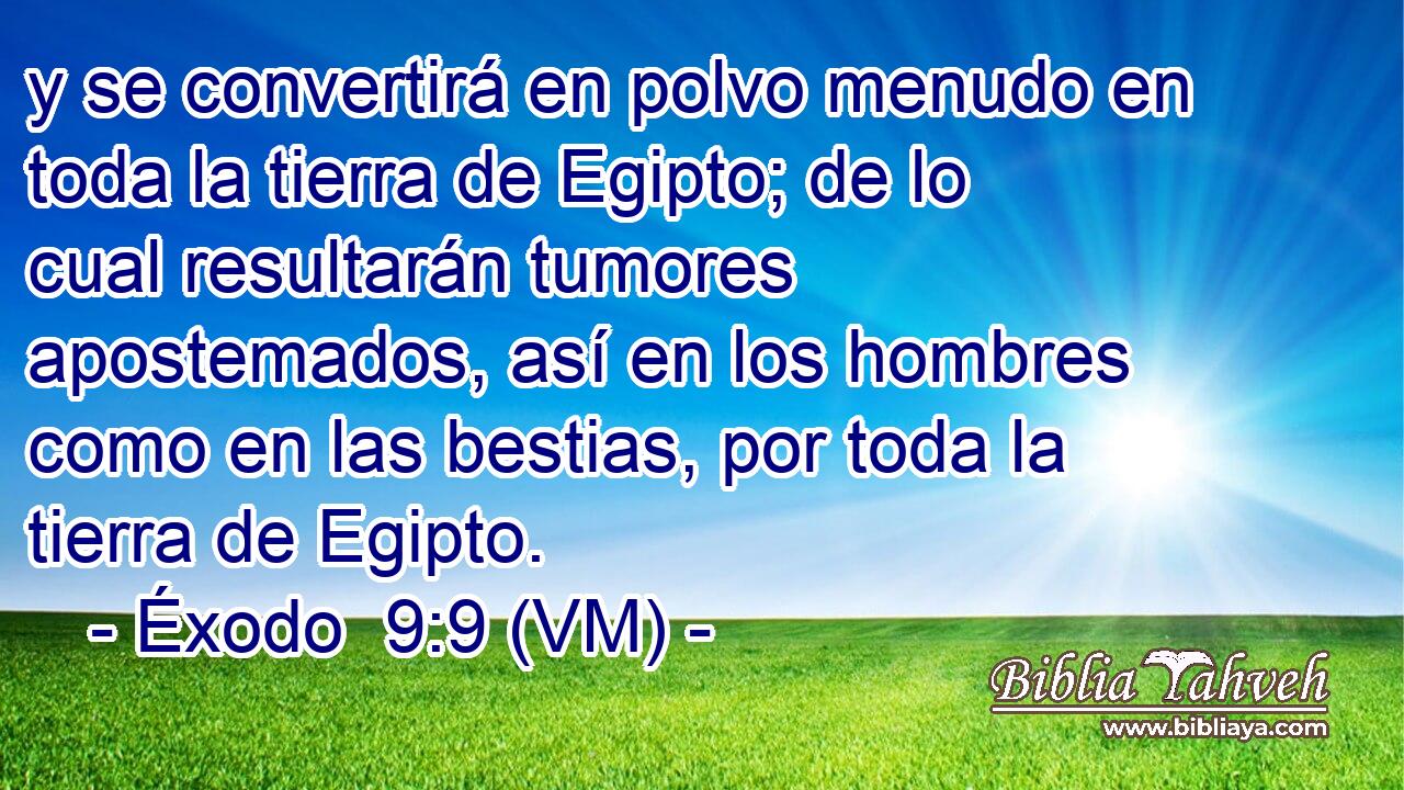  y se convertirá en polvo menudo en toda la tierra de Egipto; de lo cual resultarán tumores apostemados, así en los hombres como en las bestias, por toda la tierra de Egipto. 